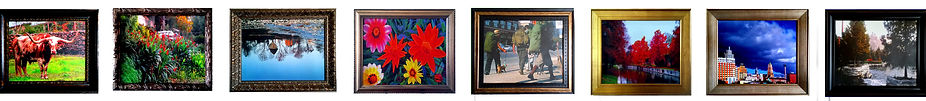 CMG banner photo350.jpg