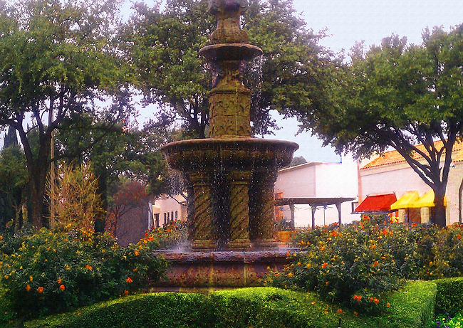 Fuente y Flores