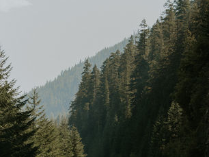 A Traveller’s Guide to Romania, Bulgaria, With Parts of Greece, Hungary & Northern Macedonia