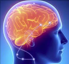 Portland Neurofeedback, LLC - service preview