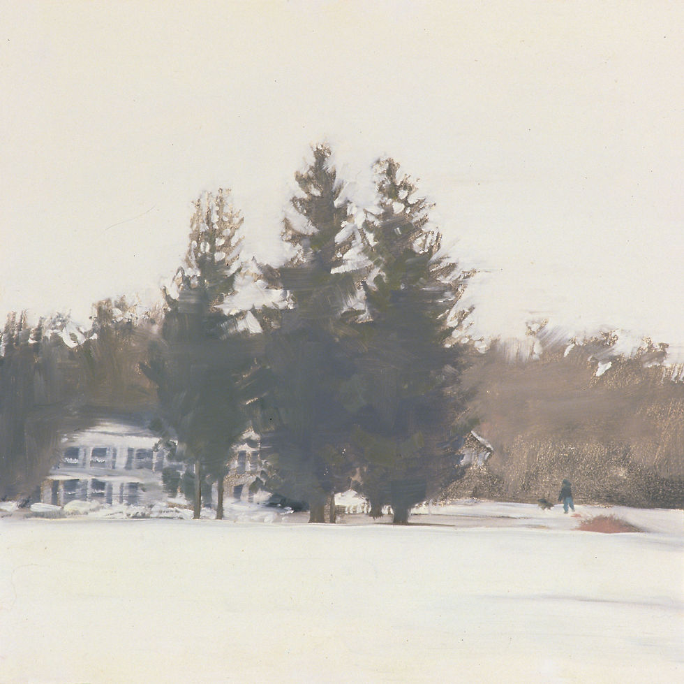 Sea Cliff House in Snow