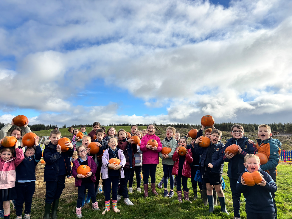 A trip to the pumpkin patch!