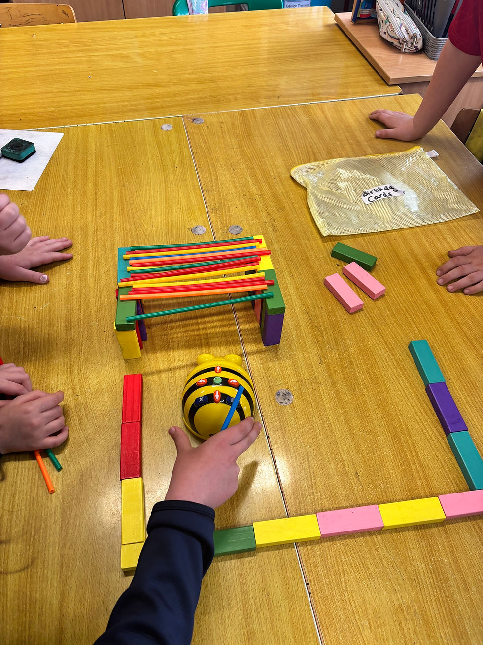 Coding using Bee-Bots!