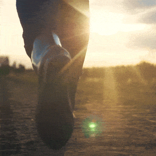 tua_brand_design_terrasemen.gif