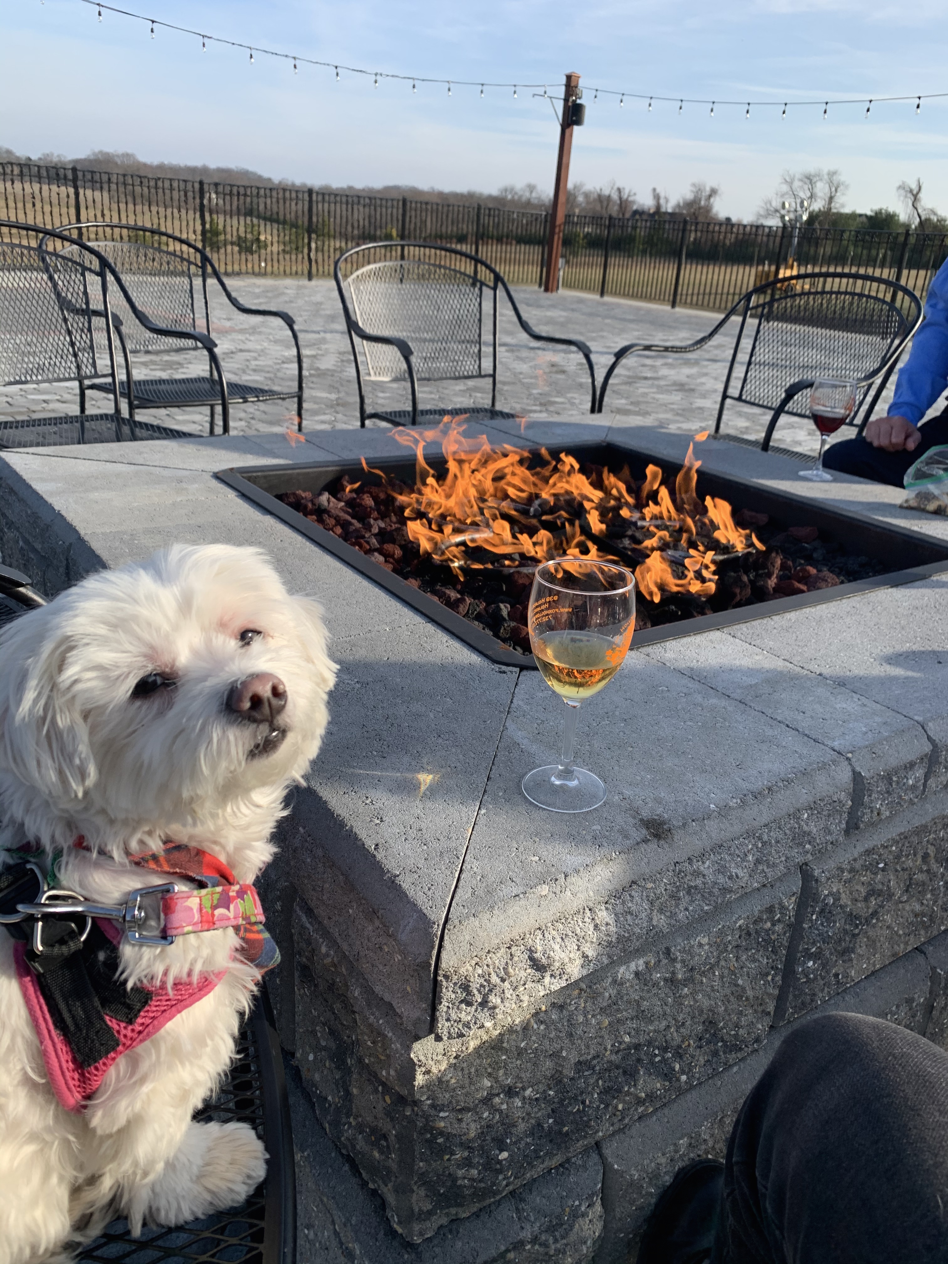 Chloe Fire pit