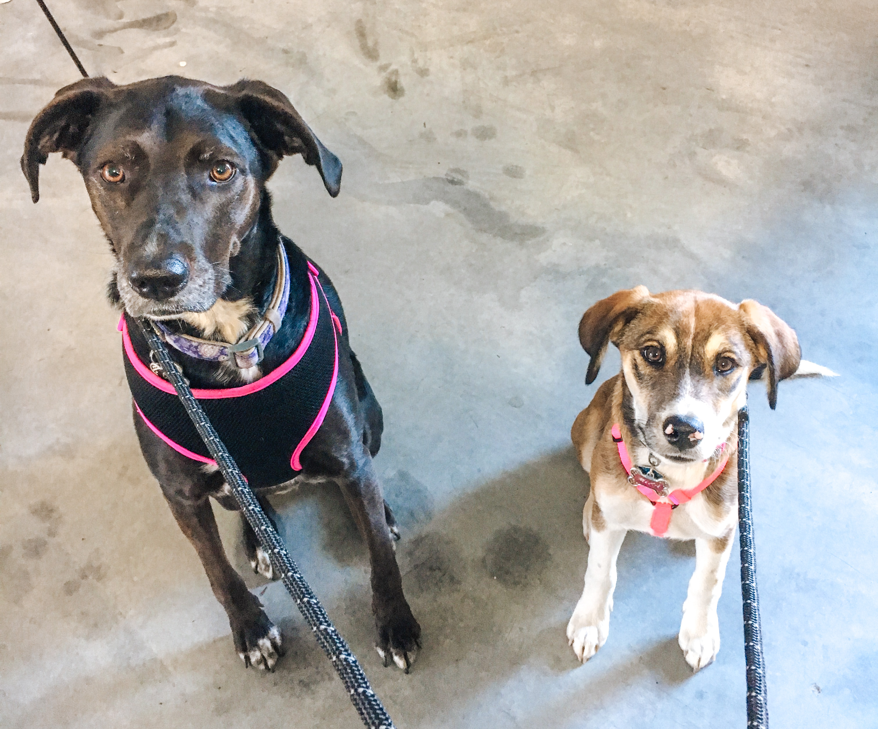 Cali & Mika