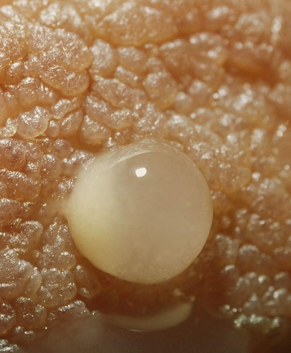 Πύαρ, Μεταβατίκο και Ώριμο Μητρικό Γάλα