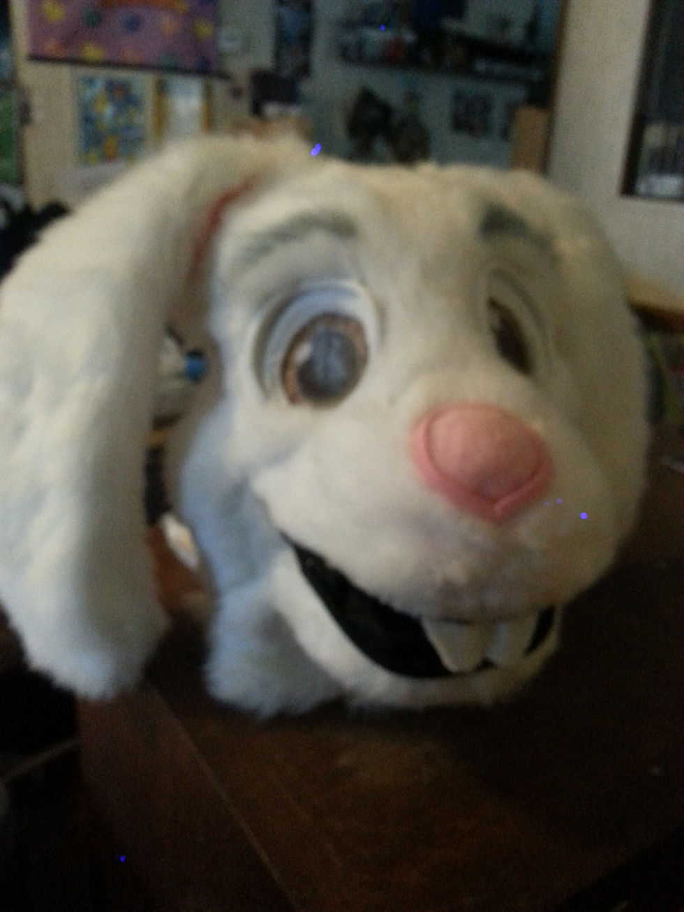funny bunny (12).jpg