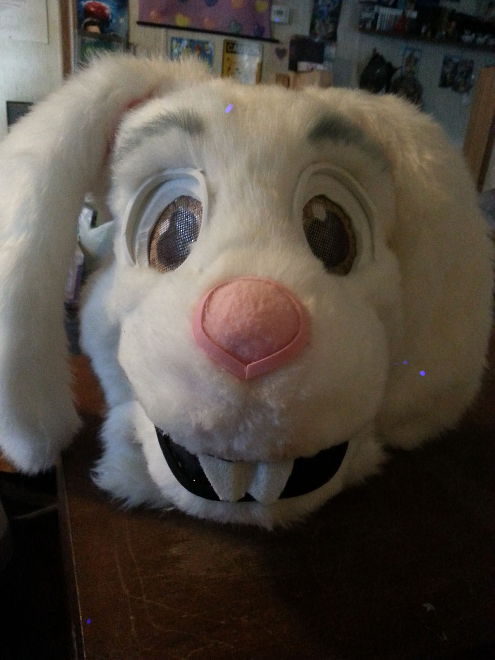 funny bunny (11).jpg