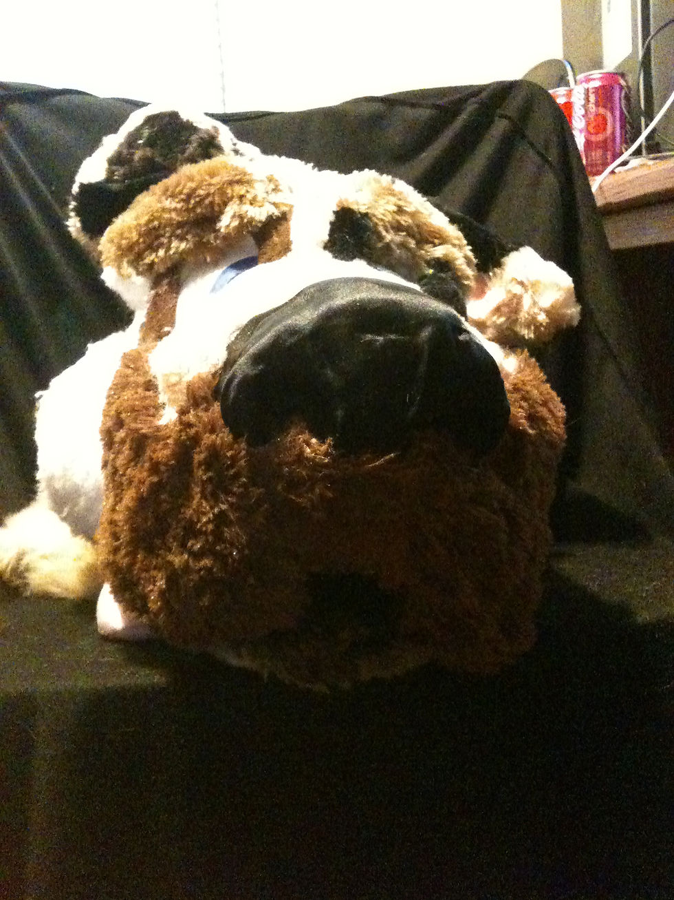 dog head (1).JPG