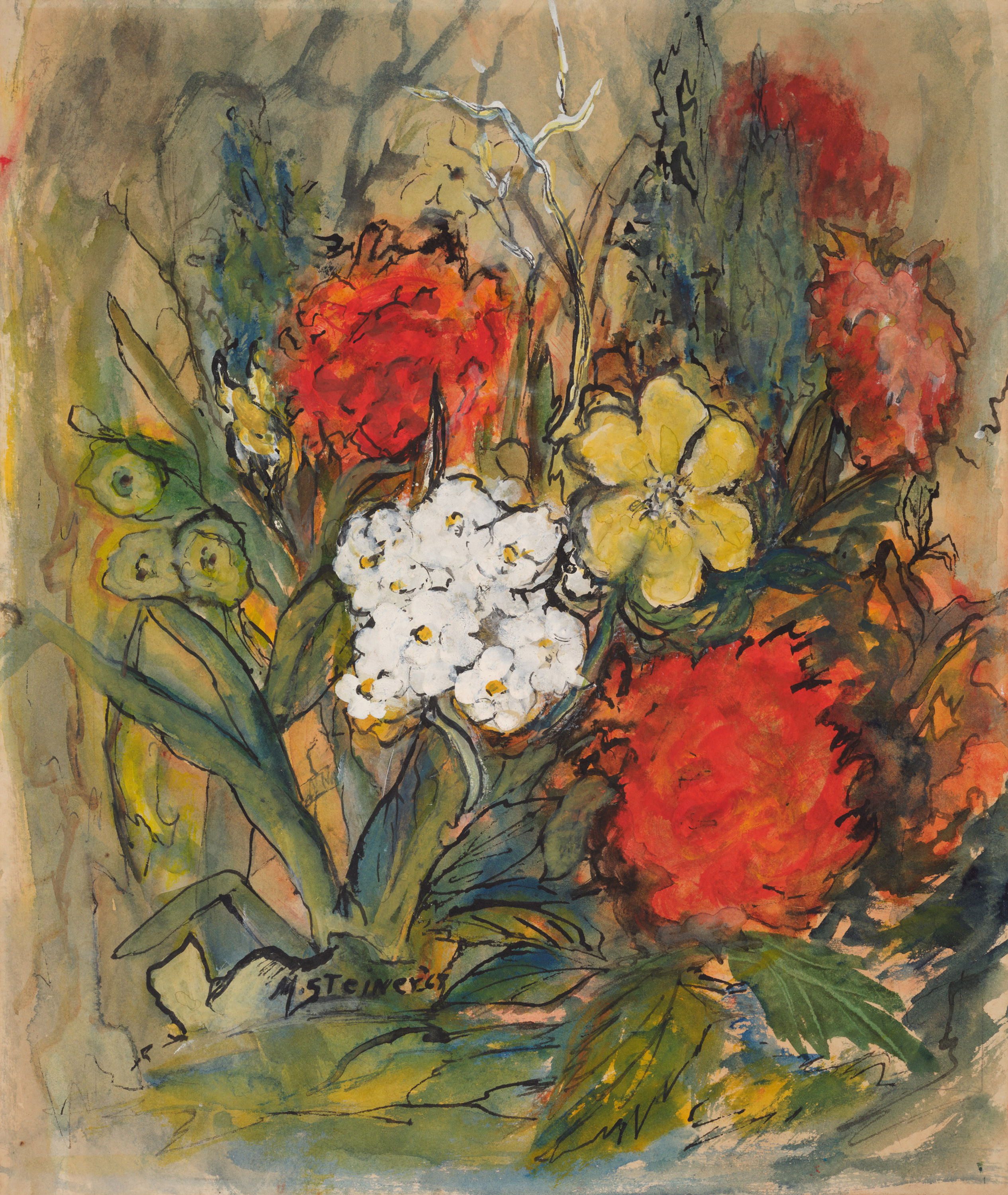 Phlox Paniculata ‘David’