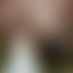 the bride and groom standing under crabapple blossom trees