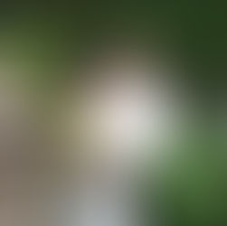 T + J: Love Knows No Distance