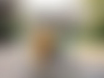 Karen & Justin 16.09.2023