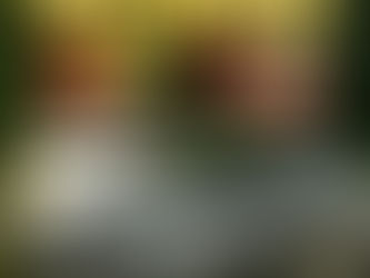 🎉 AutoBright 雙11 驚喜賞! 🎉