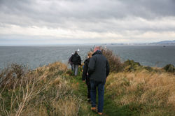 Inchcolm-ErikaStevenson-62.jpg