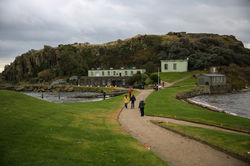 Inchcolm-ErikaStevenson-81.jpg
