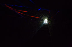 Inchcolm-ErikaStevenson-259.jpg