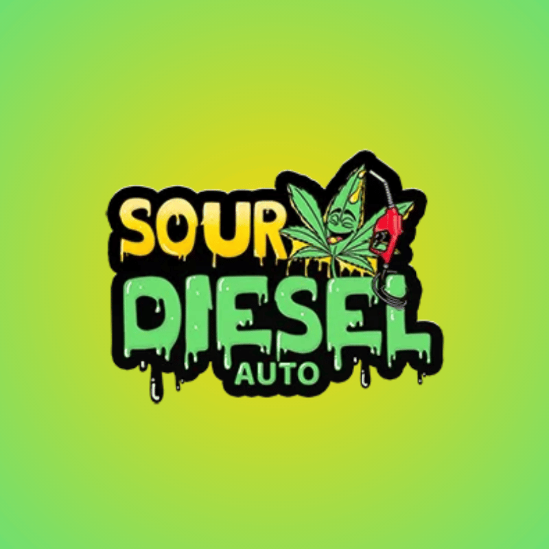 Sour Diesel Auto, Graine de collection autofloraison par 42 Fast Buds