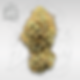 White Dragon, fleur de cbd premium cultivé en indoor organique par moski farm