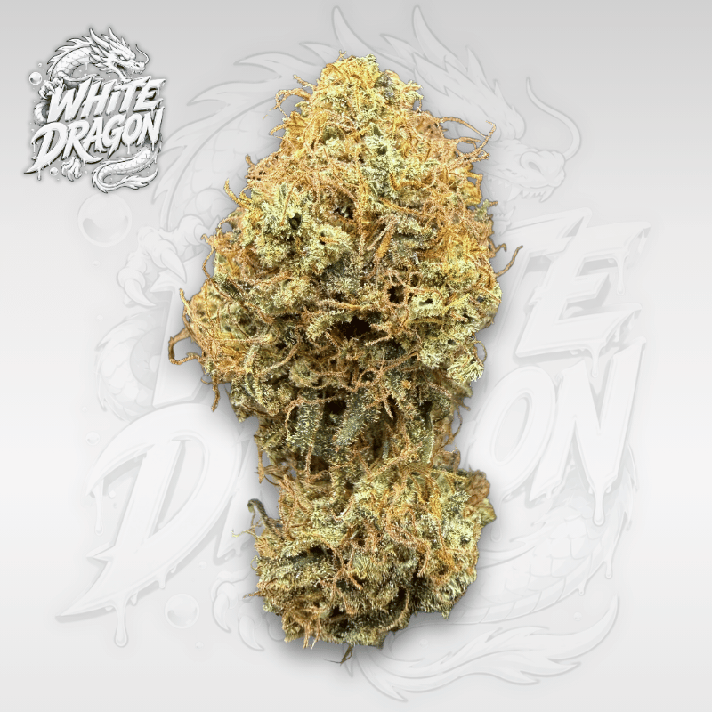 White Dragon, fleur de cbd premium cultivé en indoor organique par moski farm