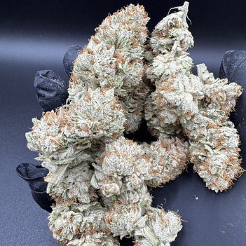Fleur de CBG premium produit en culture organique par Rocket Buds Farms