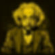 einstein.jpg