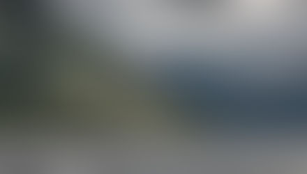 A walk on the wild side