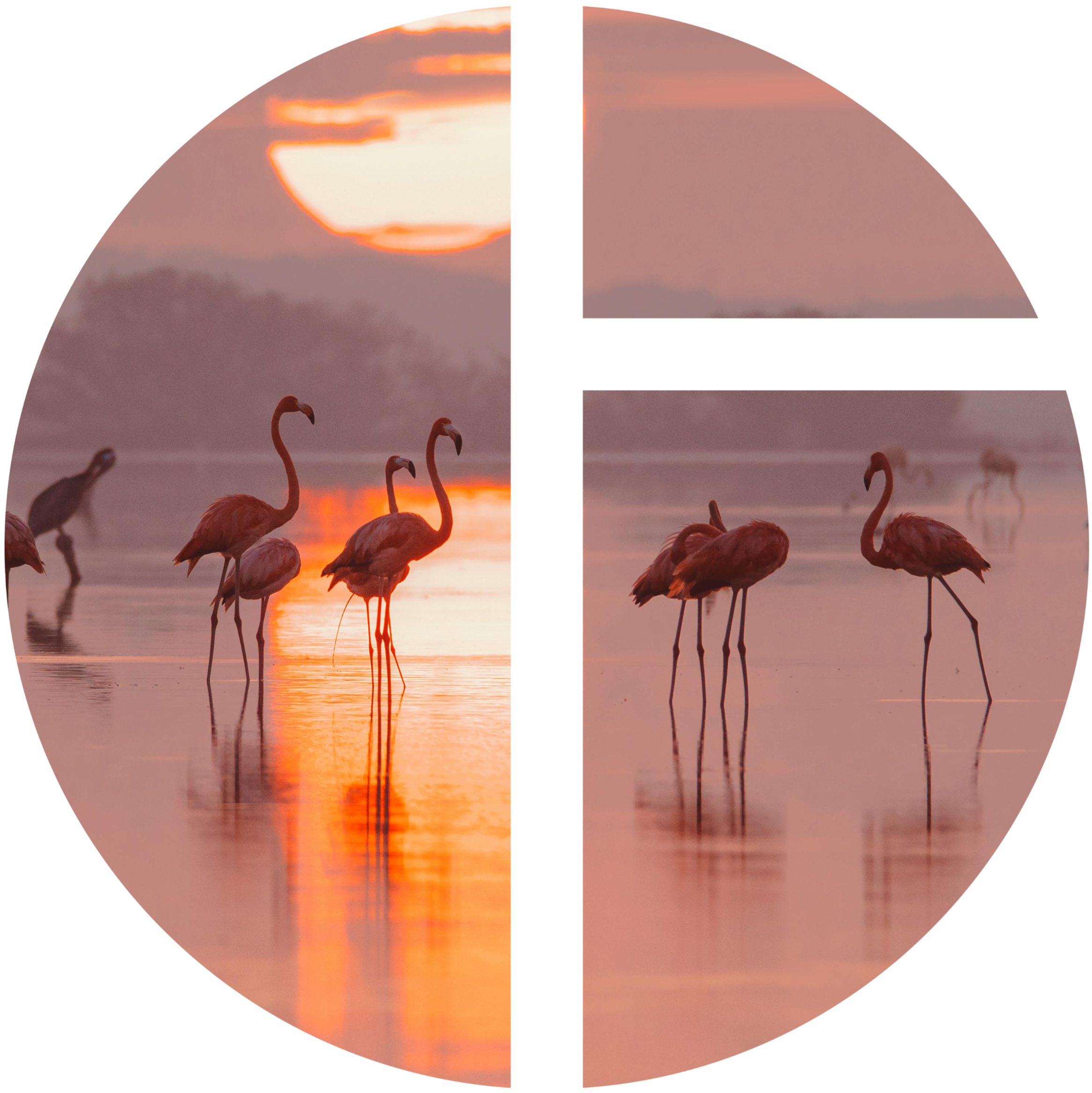 Travelezza_Ventana_01_edited.png