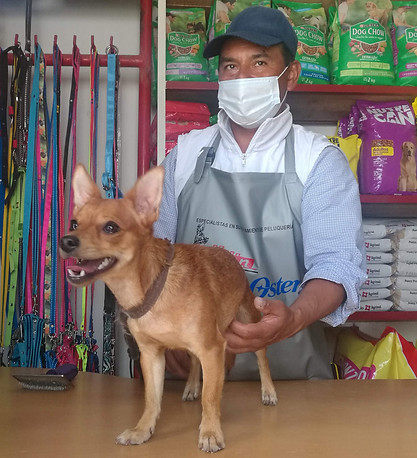 Propietario de ZooMascott Pet Shop con un perro pequeño cafe.