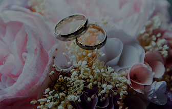 gold-colored bridal ring set on pink ros