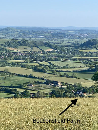 Beaconsfield Farm from Mendip.jpg