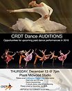 audition flyer.png