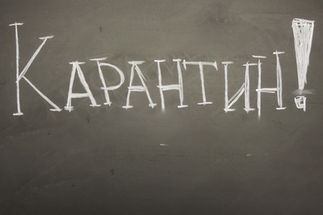 Информирование о карантине