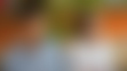 Сессия районного школьного парламента