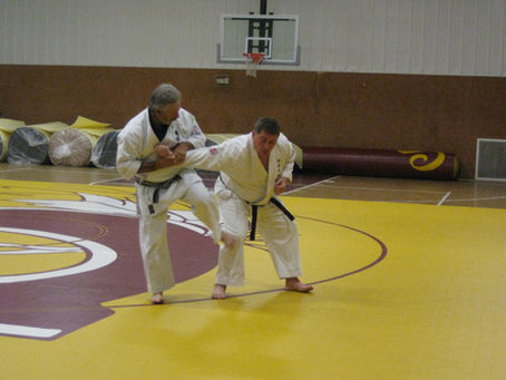 Hot Topics in Martial Arts