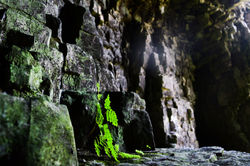 Life from Stone