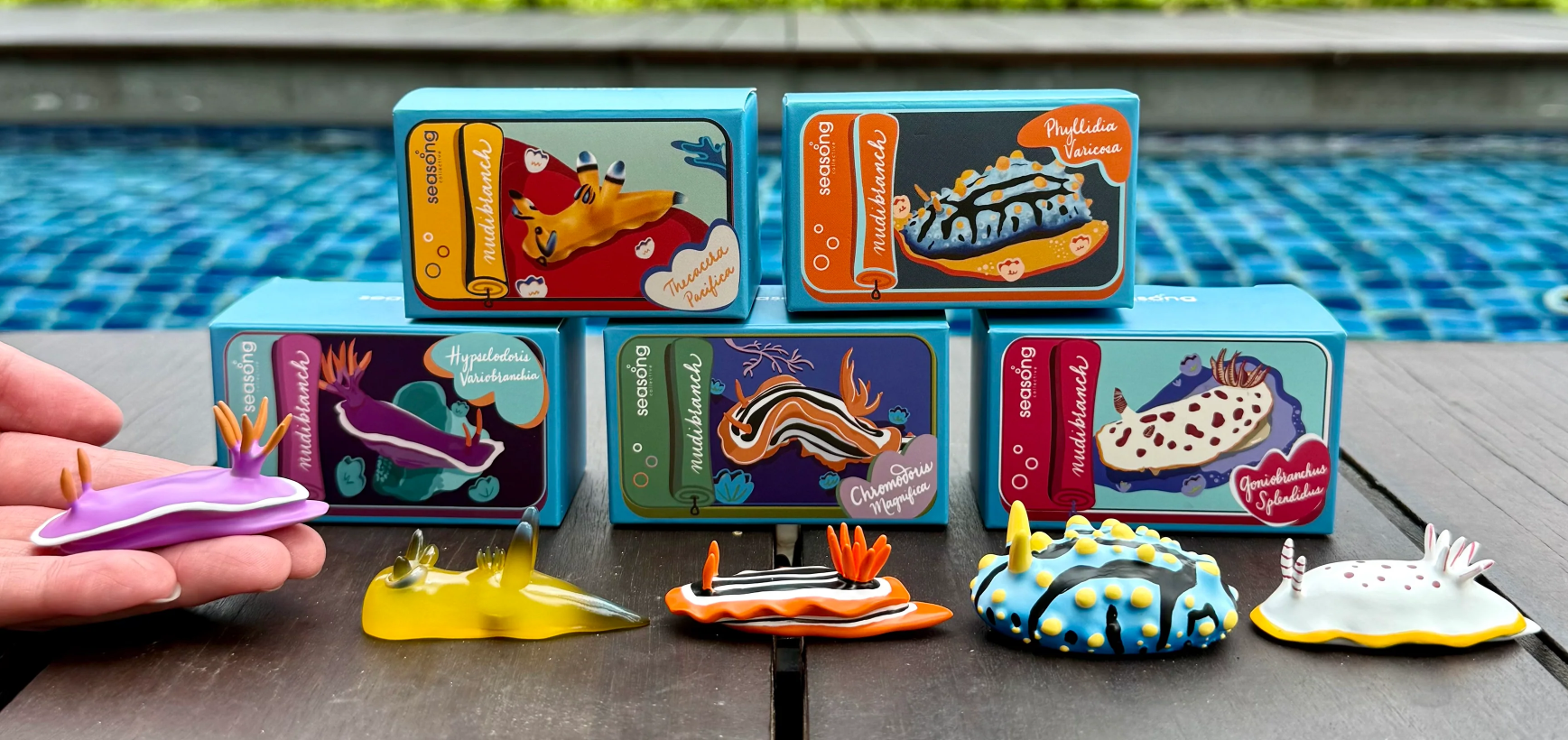 Nudibranch Magnets