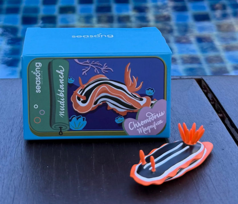Thumbnail: Nudibranch Magnets