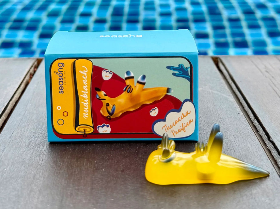 Thumbnail: Nudibranch Magnets