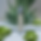 Photoroom-20240506_194642.png