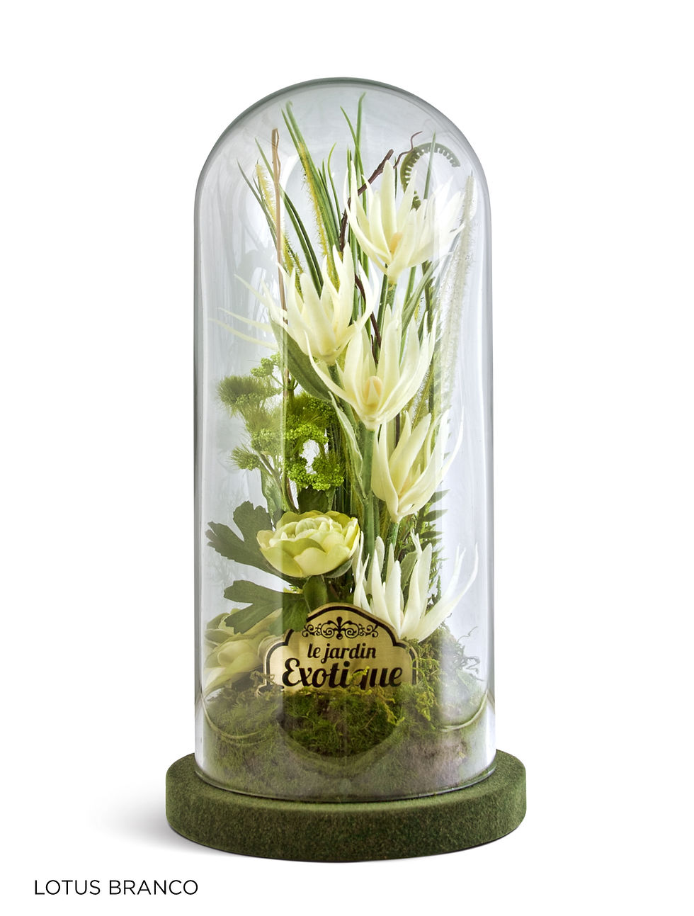 Miniatura: Le Jardin Exotique