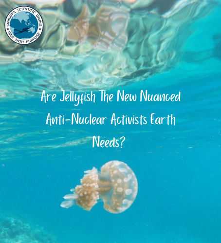 Jellyfish