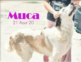 Voyage 14 Août 20 (2).jpg