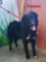 IVANNA 01.jpeg