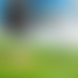 Howl's Moving Castle (2005)