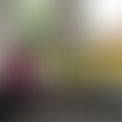 Good Dog Bad Dog (2023)