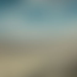 Last Days of Summer (2023)