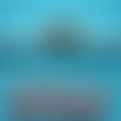 Murphy's Ranch (2025)