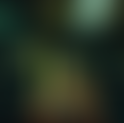 An Avocado Pit (2023)